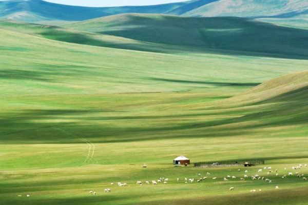 Andelsmejeri i Khovsgol